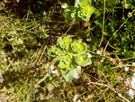 Photos-0007.jpg