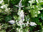 Photos-0008.jpg