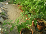 DSCN3620.JPG