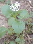 P1829_29-08-09.JPG