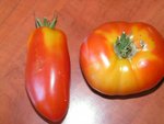 tomate.jpg