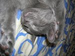 DSCN4229 (800x599).jpg