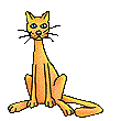 33503075.gif