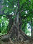 anbe-IMG_1480gd.jpg