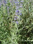 DSC01839.JPG