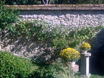 31082009_006.jpg