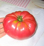 tomate c 09.jpg