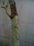 IMG_0059 [Résolution de l'écran].JPG