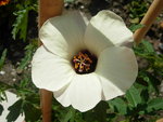 04.08.2009 003.jpg