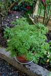 2009 09 04__02b.jpg