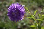 IMG_1940.JPG