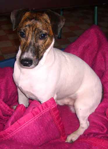 babou-web.jpg