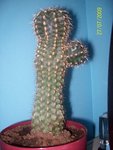 100_1110.jpg
