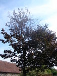 DSC00331.JPG
