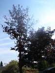 DSC00338.JPG