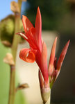 IMG_7475.JPG