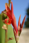 IMG_7476.JPG
