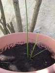 DSCF2463.JPG