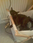 Image76.jpeg