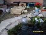 Le bassin des tortues qui sert aux cobayes de courir autour