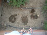 DSCN4679 (800x600).jpg