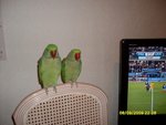 Ne sont ils pas mignons les amoureux