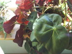 DSC00014.JPG