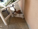 C'est tellement mieux dessous les chaises longues
