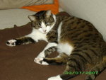 IMGP2241.JPG