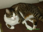 IMGP2243.JPG