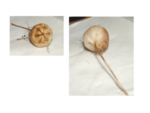 DSCF4316.png