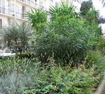 monquartier18 - Copie.JPG