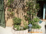 12 SEPT 2009 005.jpg