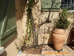 12 SEPT 2009 007.jpg