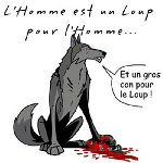 le loup.jpg