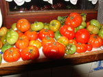 marmande fin de récolte