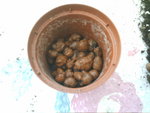 IMAG0289.JPG