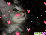 7c341a3a94d00ed39e0ce523b70859b8.gif
