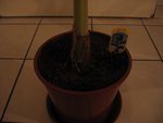 IMG_3205.jpg