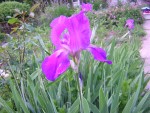 DSCN0510.JPG