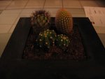 IMG_3206.jpg
