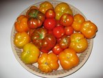 IMG_3200.jpg
