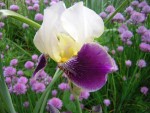 DSCN0511.JPG
