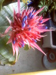 Image36.jpeg