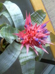 Image37.jpeg