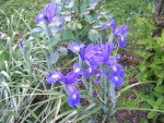 DSCN0507.JPG
