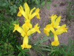 DSCN0508.JPG