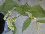 SP_A1021.jpg