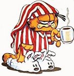 garfield[1].jpg