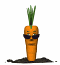 image007.gif